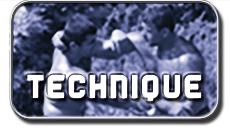 Techniques de lutte des Bashpelivanns